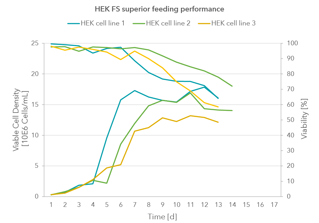 HEK-FS-Performance