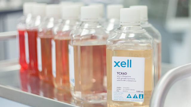 Cell culture media and feed products